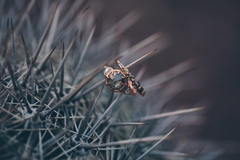 Desert Lesbian Wedding Rings