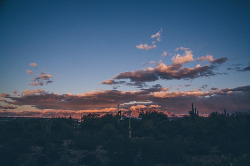 Desert Lesbian Wedding Steph Grant 