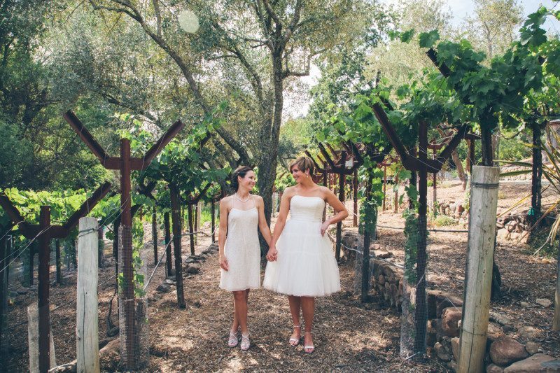 Wine Country Lesbian Wedding Napa