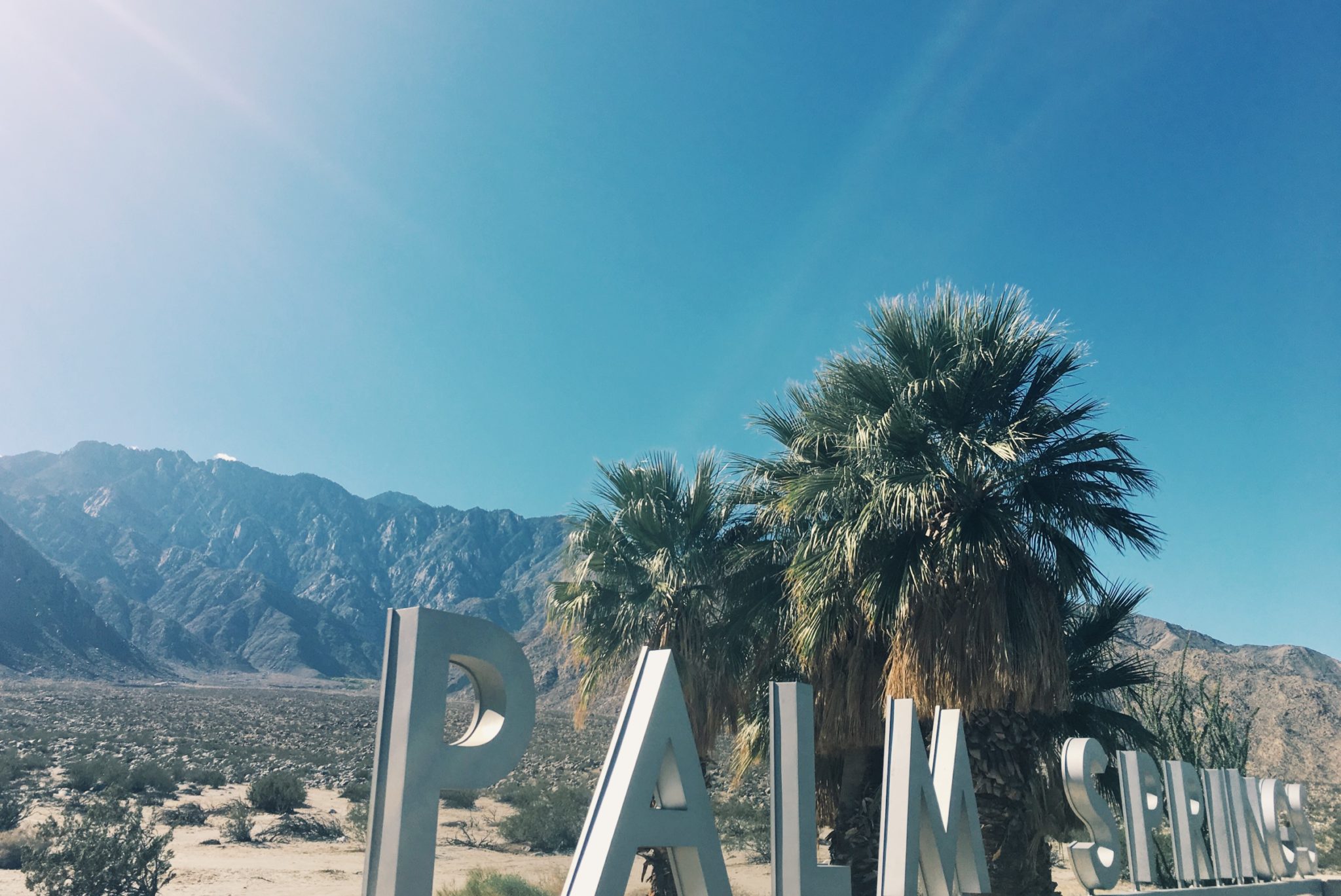 LESBIAN WEDDING PALM SPRINGS STEPH GRANT