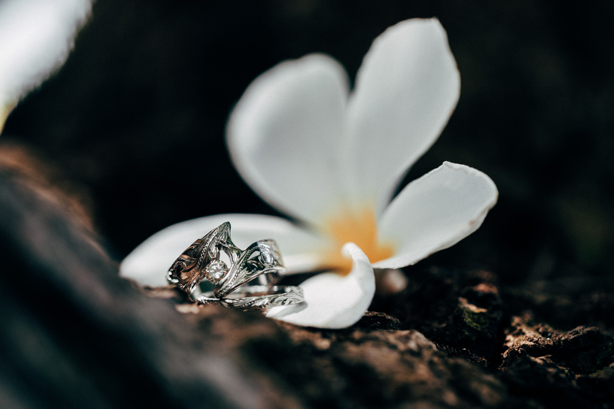 LGBTQ WEDDING HAWAII