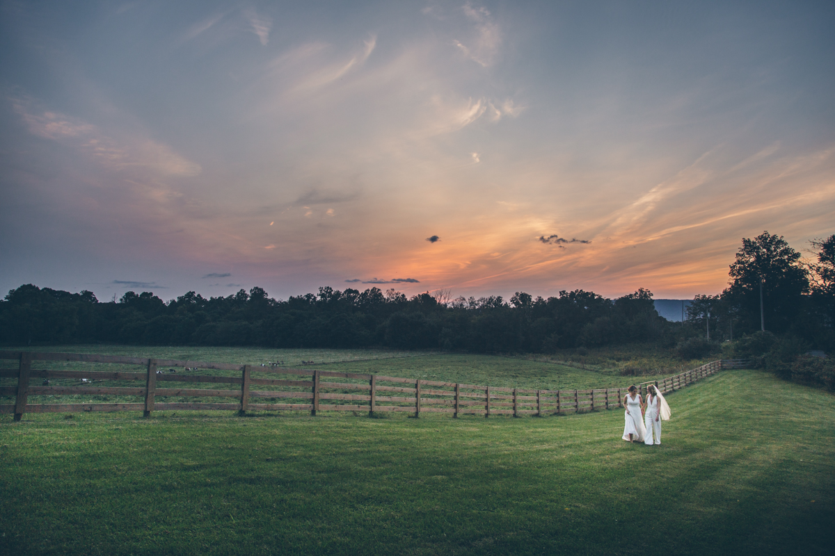 Khimaira Farms Virginia Lesbian Wedding Steph Grant