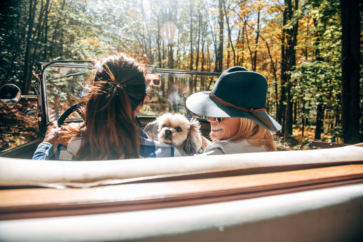 Fall Berkshires Lesbian Wedding Katie Brenny