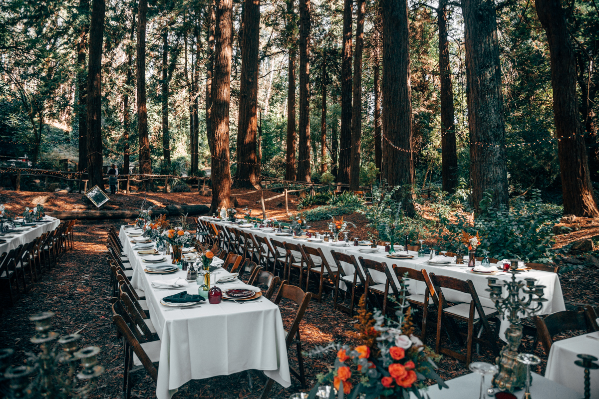 Intimate San Francisco Lesbian Wedding