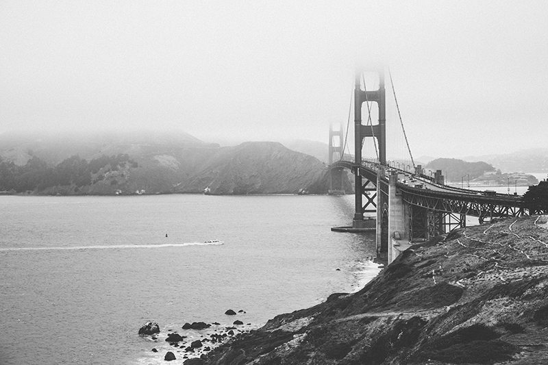 San Francisco Lesbian Wedding